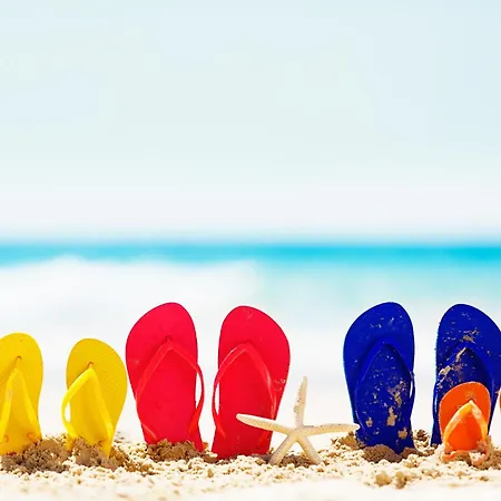 Le Nid De La Mouette Appartement *