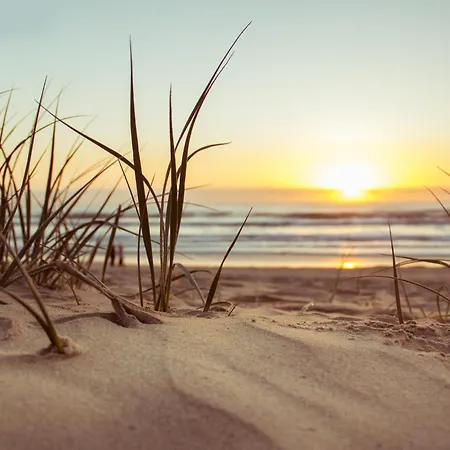 Le Nid De La Mouette * Saint-Hilaire-de-Riez
