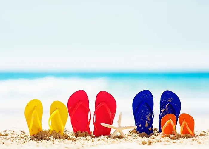 Le Nid De La Mouette Appartement *