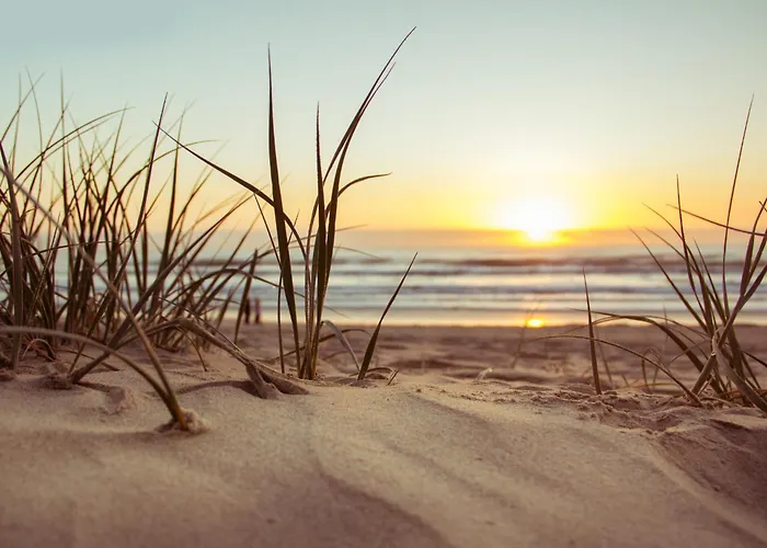 Le Nid De La Mouette * Saint-Hilaire-de-Riez