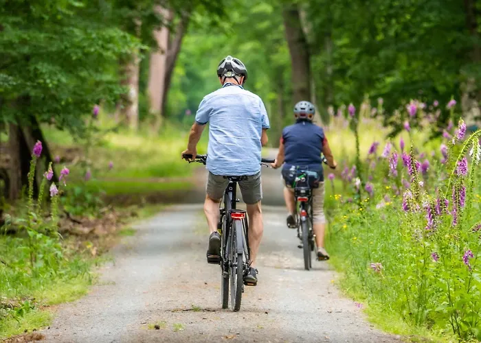 Apartment Le Nid De La Mouette