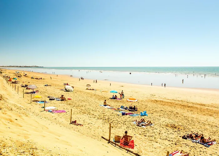 Apartment Le Nid De La Mouette